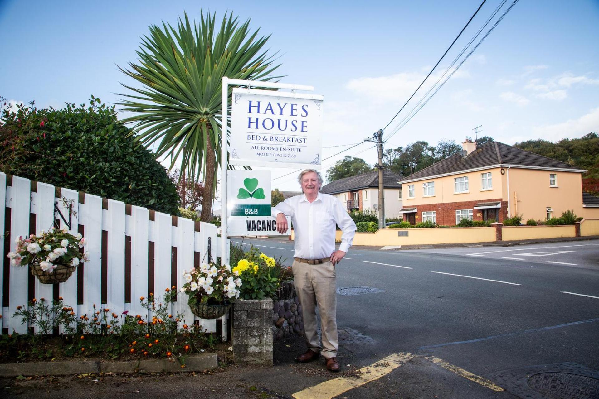 Hayes House Killarney Bed & Breakfast エクステリア 写真